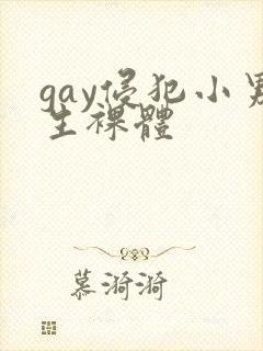 gay侵犯小男生裸体