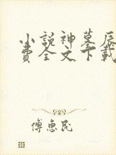 小说神墓辰东免费全文下载