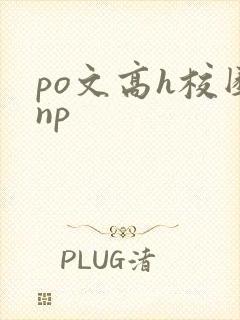po文高h校园np