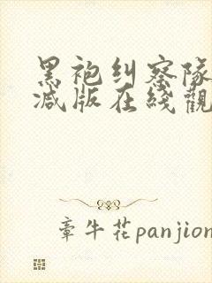 黑袍纠察队未删减版在线观看