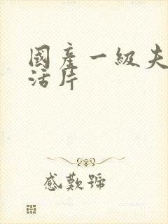 国产一级夫妻生活片