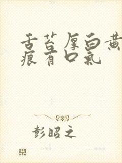 舌苔厚白黄有齿痕有口气