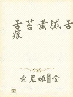 舌苔黄腻舌边齿痕