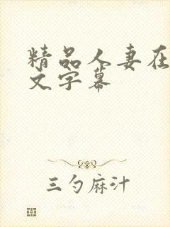 精品人妻在线中文字幕