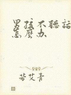 男孩不听话叛逆怎么办