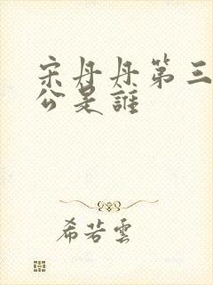 宋丹丹第三任老公是谁