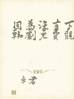 因为没有下辈子韩剧免费观看