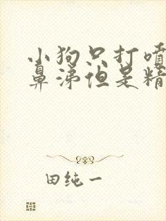 小狗只打喷嚏流鼻涕但是精神很好