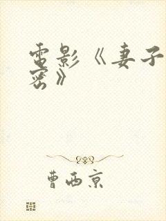 电影《妻子的秘密》