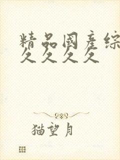 精品国产综合久久久久久