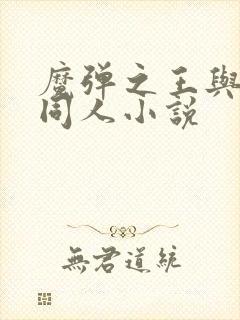 魔弹之王与战姬同人小说