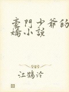 豪门少爷的掌心娇小说