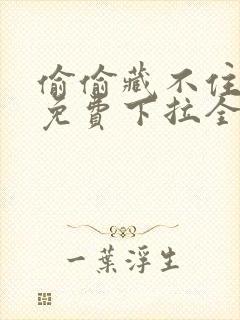 偷偷藏不住漫画免费下拉全集封面