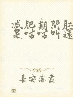 减肥期间肚子老是咕咕叫还放屁