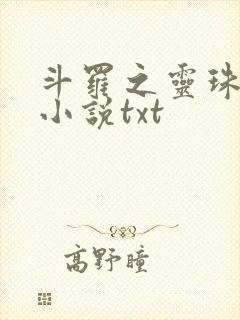 斗罗之灵珠神剑小说txt封面