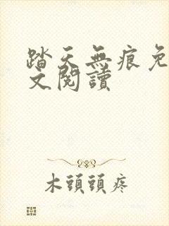 踏天无痕免费全文阅读