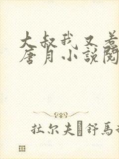 大叔我又惹祸了唐月小说阅读全文