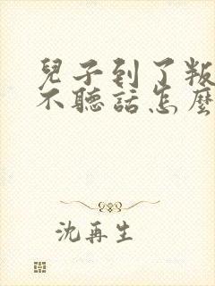 儿子到了叛逆期不听话怎么办