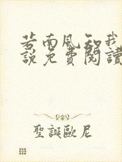 若南风知我意小说免费阅读无弹窗