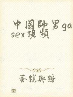 中国帅男gaysex视频