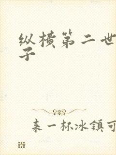 纵横第二世界宽子