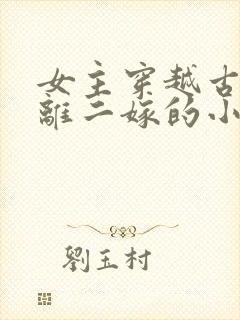 女主穿越古代和离二嫁的小说