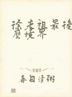 徐老祖最后是什么境界