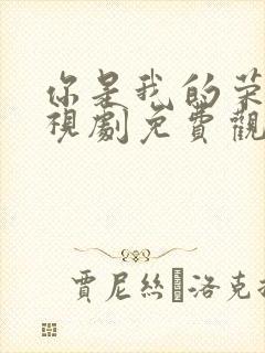 你是我的荣耀电视剧免费观看完整封面