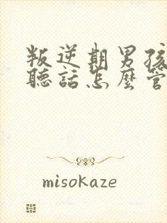 叛逆期男孩子不听话怎么管教