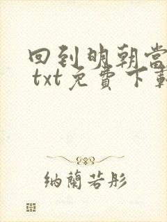 回到明朝当王爷 txt免费下载封面