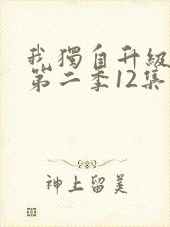 我独自升级动漫第二季12集