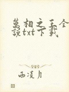 万相之王全本小说txt下载