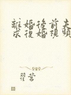 离婚后前夫哭着求复婚视频完整版封面