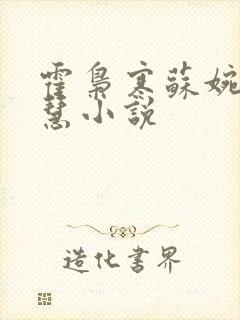 霍枭寒苏婉苏晓慧小说封面