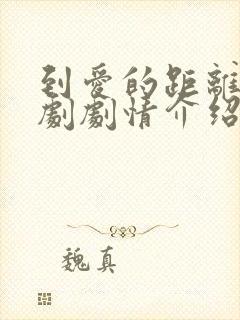 到爱的距离电视剧剧情介绍