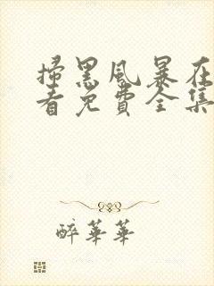 扫黑风暴在线观看免费全集