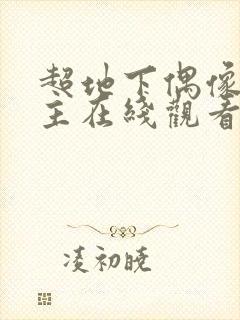 超地下偶像双男主在线观看