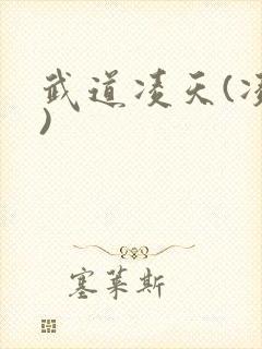 武道凌天(凌天)