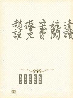 赵振宋婉清的小说免费阅读全文