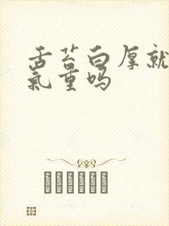 舌苔白厚就是湿气重吗