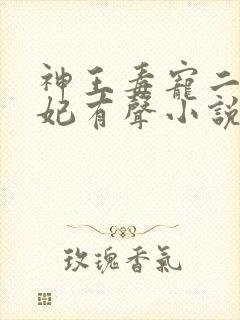 神王毒宠二嫁王妃有声小说