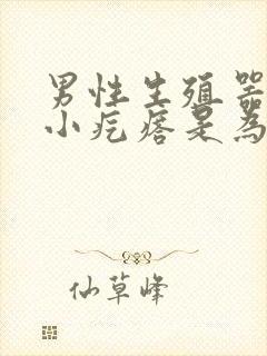 男性生殖器处起小疙瘩是为什么