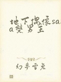 地下偶像sana双男主