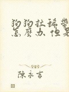 狗狗拉稀带点血怎么办 但是很活泼