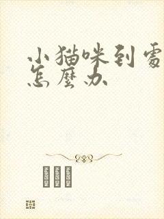 小猫咪到处乱尿怎么办