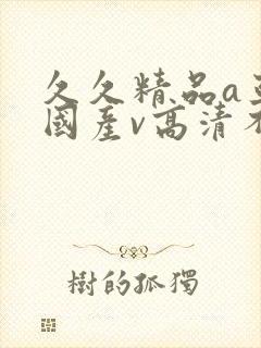 久久精品a亚洲国产v高清不卡