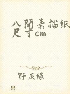 八开素描纸多大尺寸cm