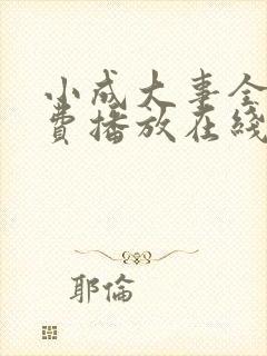 小成大事全集免费播放在线观看封面