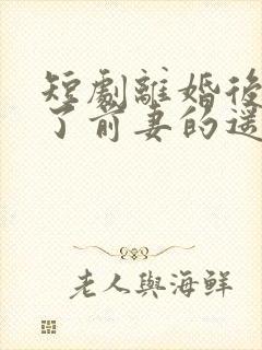 短剧离婚后我成了前妻的遥不可及