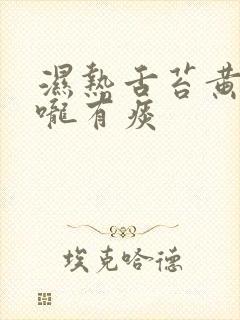 湿热舌苔黄厚喉咙有痰